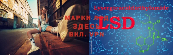 таблы Богородицк