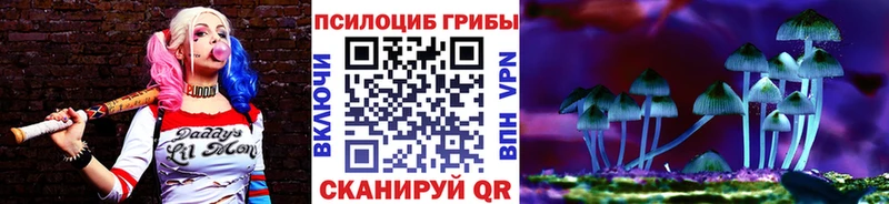 Галлюциногенные грибы мицелий Нерехта